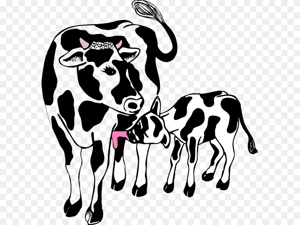 Field Clipart Dairy Farm, Animal, Cattle, Livestock, Mammal Free Png Download