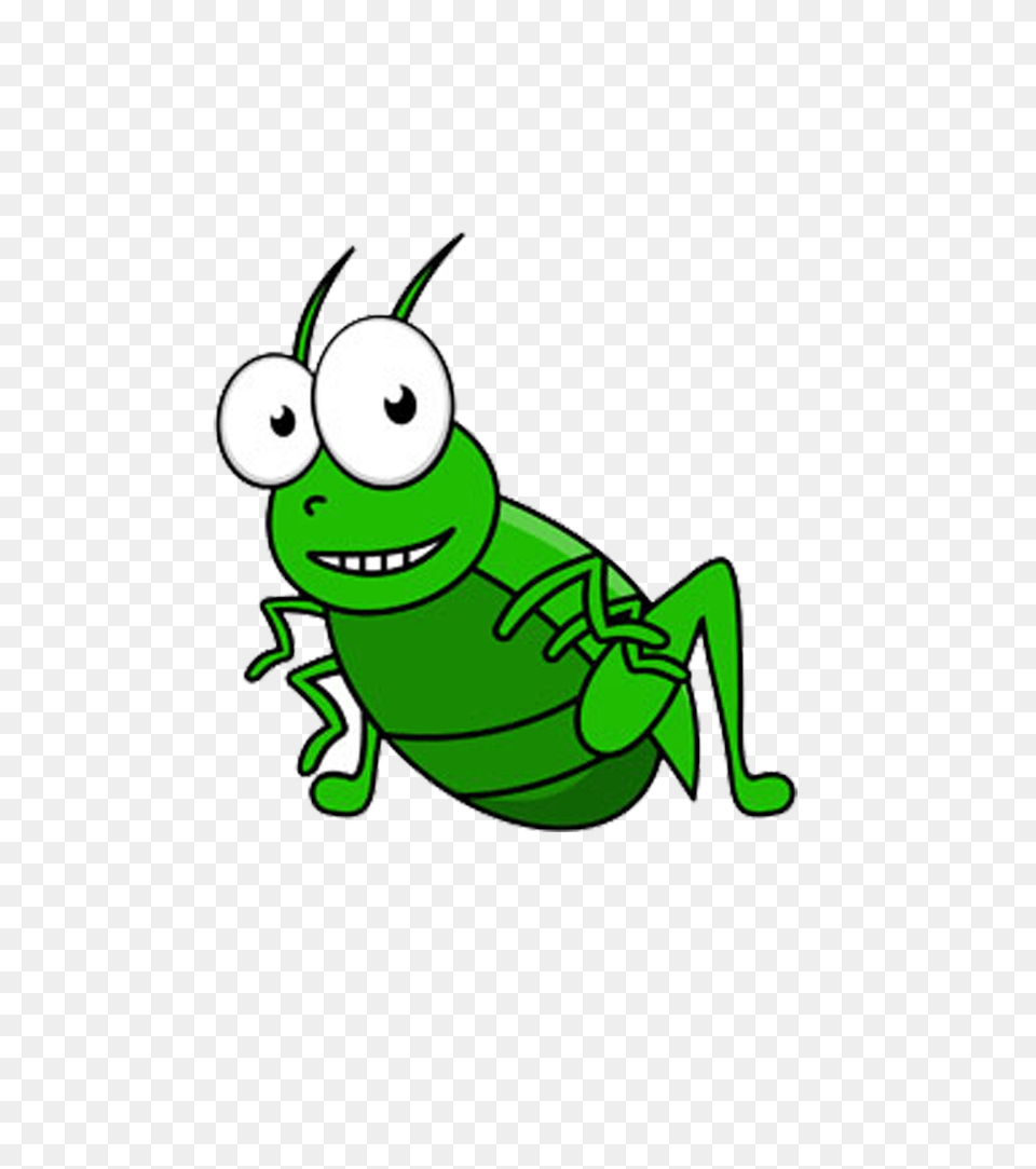 Field Clipart Green Field, Animal, Grasshopper, Insect, Invertebrate Free Transparent Png