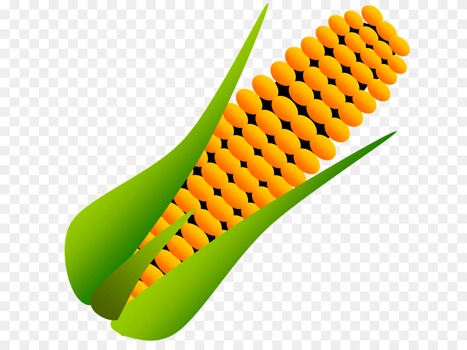 Field Clipart Maize Field, Corn, Food, Grain, Plant Free Png Download