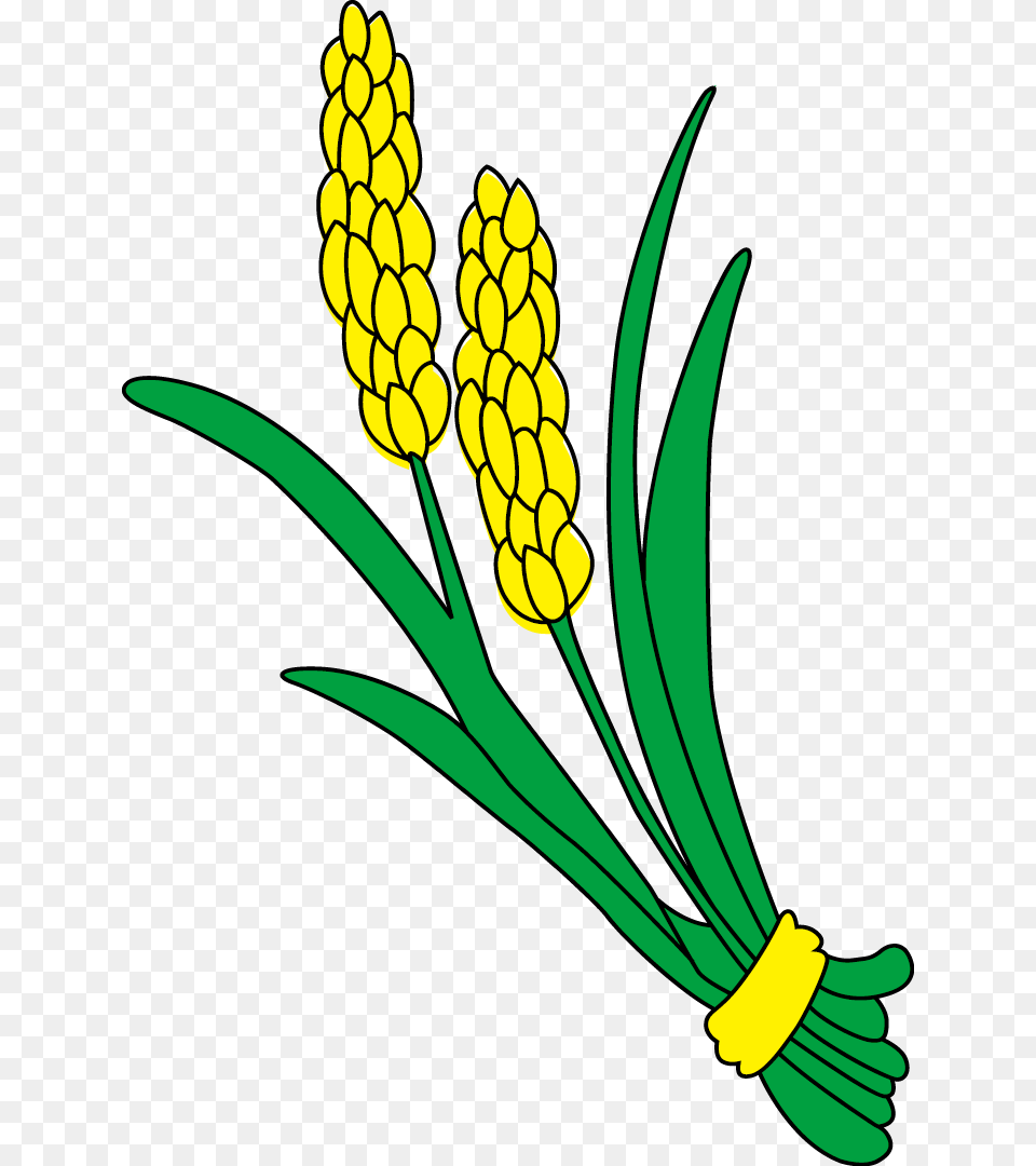 Field Clipart Maize Field, Food, Produce, Smoke Pipe, Flower Png