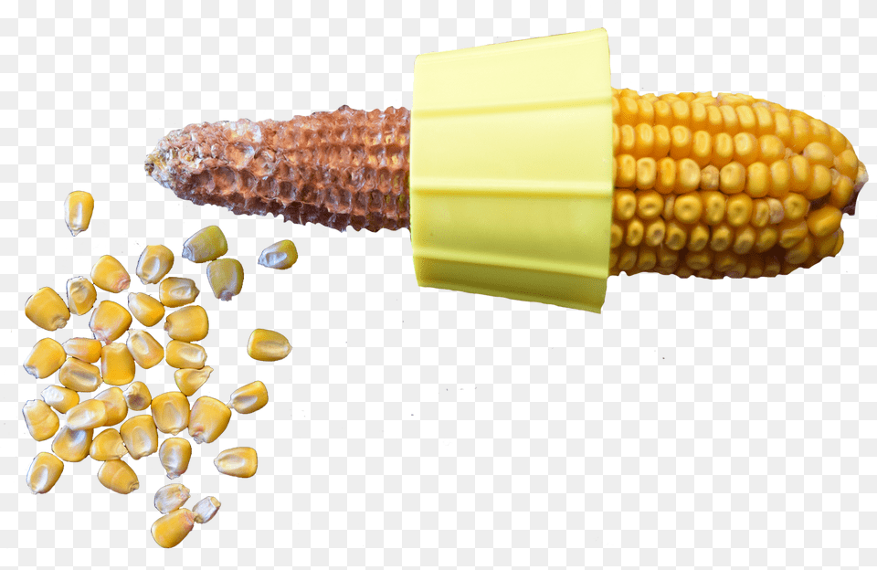 Field Corn Hand Sheller Maize, Food, Grain, Plant, Produce Free Png Download