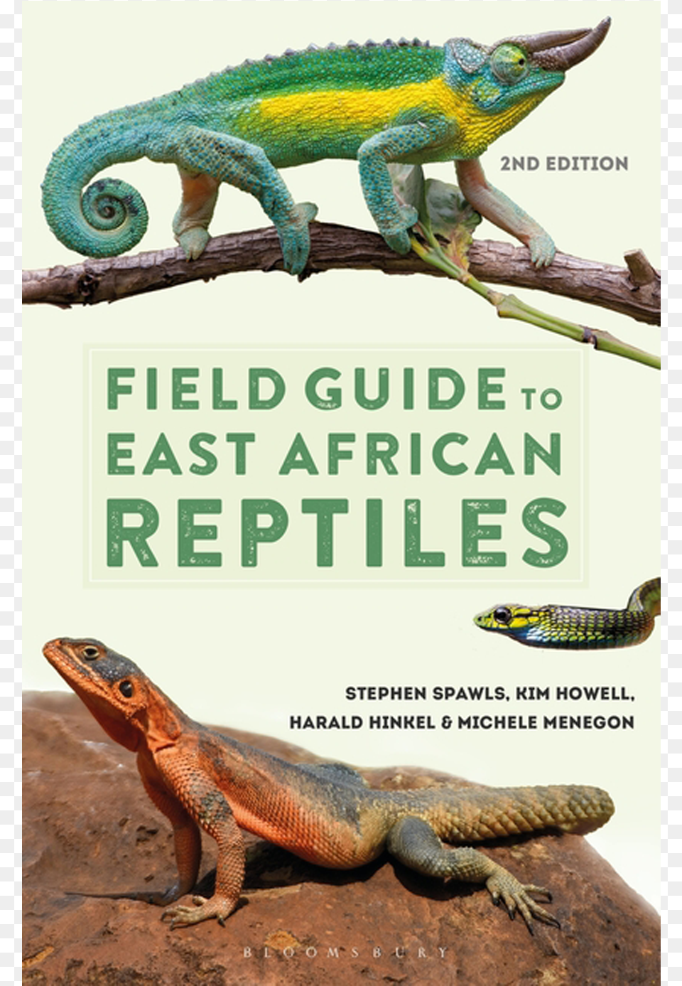 Field Guide To East African Reptiles Field Guide To East African Reptiles Book, Animal, Lizard, Reptile, Iguana Free Png