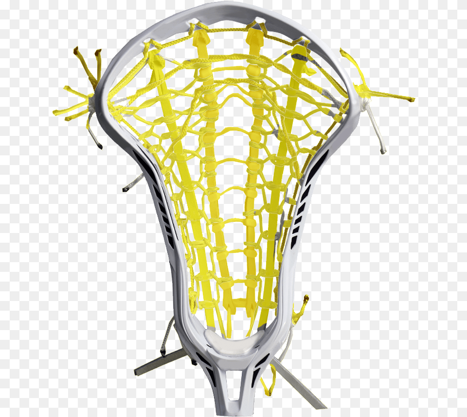 Field Lacrosse, Racket, Animal, Invertebrate, Spider Free Png Download