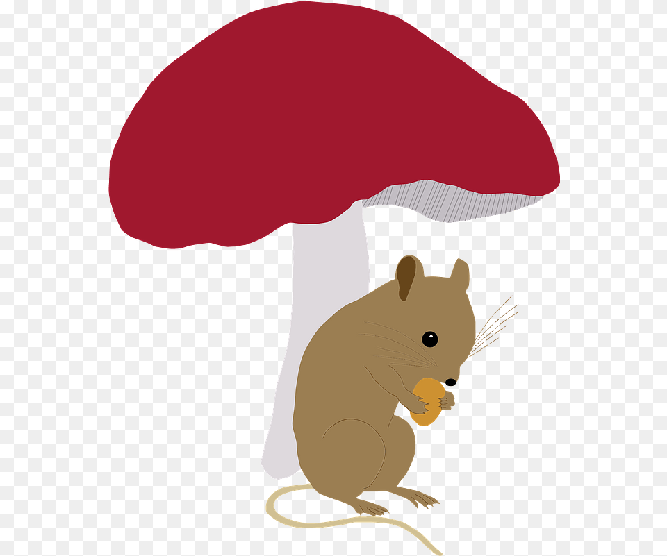 Field Mouse Under Toadstool Clipart Rat, Baby, Person, Agaric, Fungus Free Png