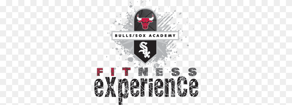 Field Trip Follow Up Tips Bulls Sox Training Academy, Logo, Advertisement, People, Person Png Image