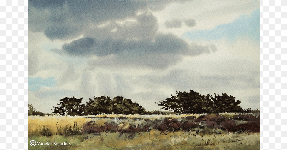 Field With Distant Junipers Watercolor 3654 Cm Painting, Outdoors, Grassland, Landscape, Nature Free Transparent Png