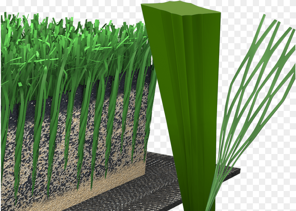 Fieldturf Vertex Prime Is Comprised Of Specially Designed Vertex Prime, Potted Plant, Grass, Plant, Jar Free Png Download