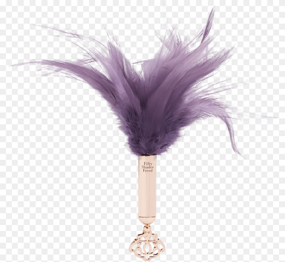 Fifty Shades Freed, Accessories, Purple, Animal, Bird Free Png