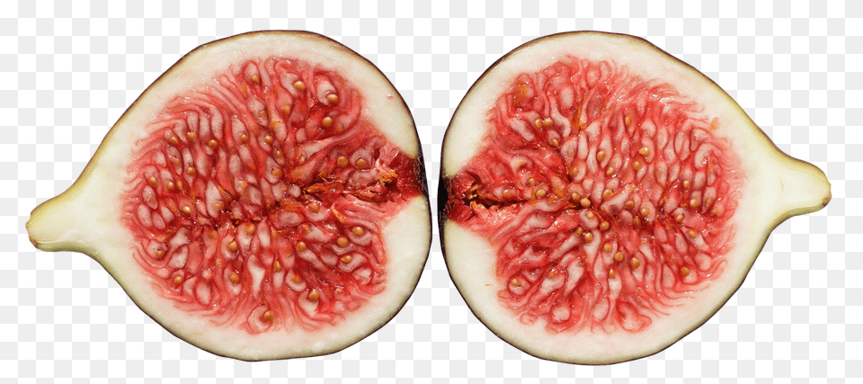 Fig, Food, Fruit, Plant, Produce Free Png