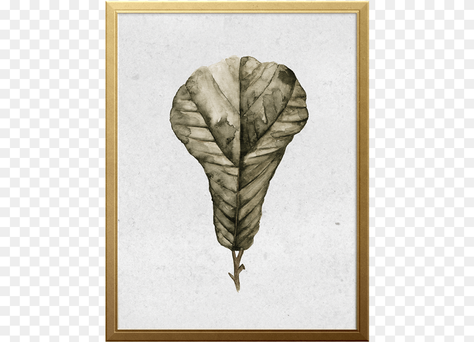 Fig Branch Art Print Sketch, Leaf, Plant, Tobacco Free Transparent Png