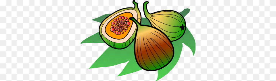 Fig Clipart Sliced, Food, Fruit, Plant, Produce Free Png Download