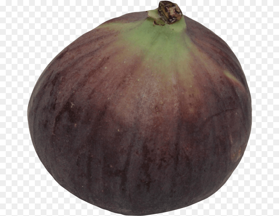 Fig Common Fig, Produce, Plant, Food, Fruit Free Transparent Png