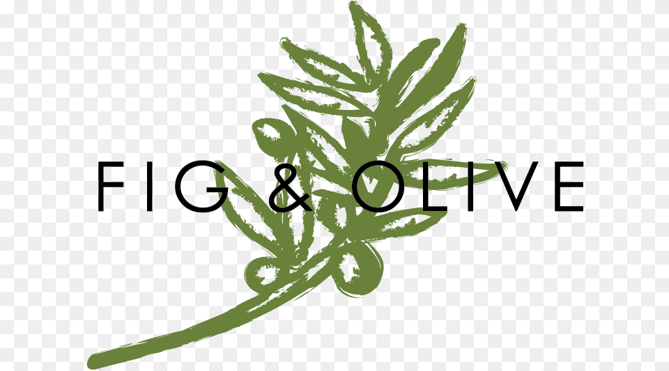 Fig Leaf, Plant, Herbal, Herbs, Green Free Png