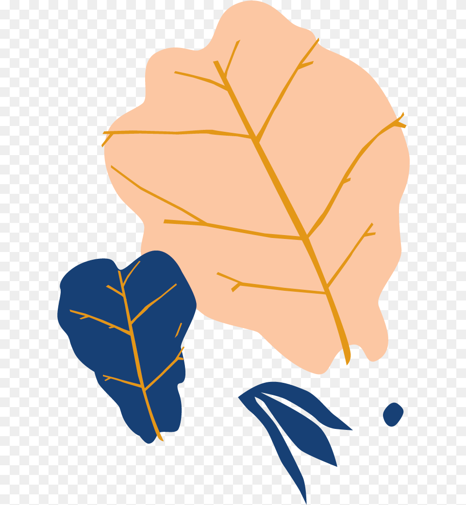 Fig Leaf Fig Illustration, Plant, Tree, Baby, Person Png Image