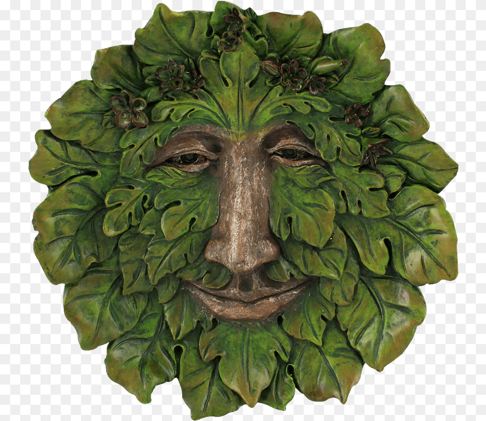 Fig Tree Greenman Plaque, Bronze, Leaf, Plant, Art Png