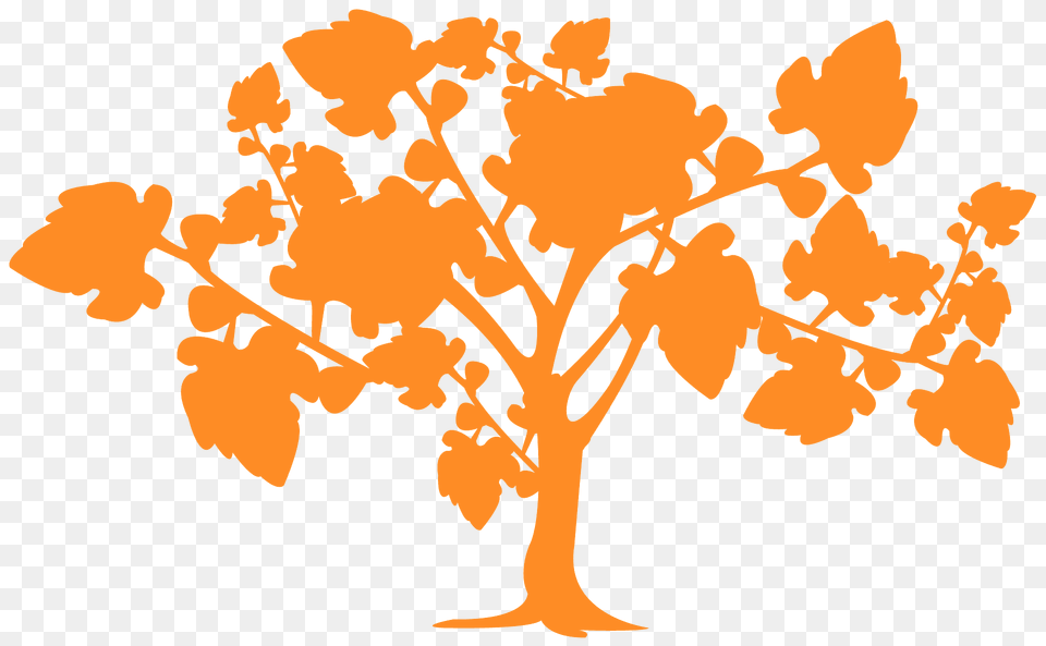 Fig Tree Silhouette, Plant, Art, Graphics, Leaf Free Transparent Png