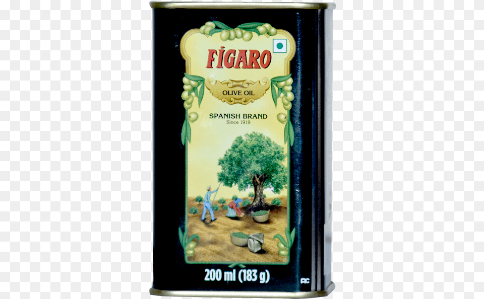 Figaro Olive Oil, Adult, Person, Woman, Female Free Png Download