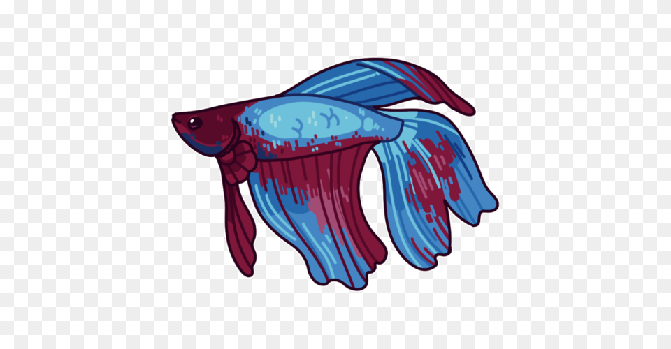 Fighting Bettas Tumblr, Aquatic, Water, Animal, Sea Life Free Transparent Png