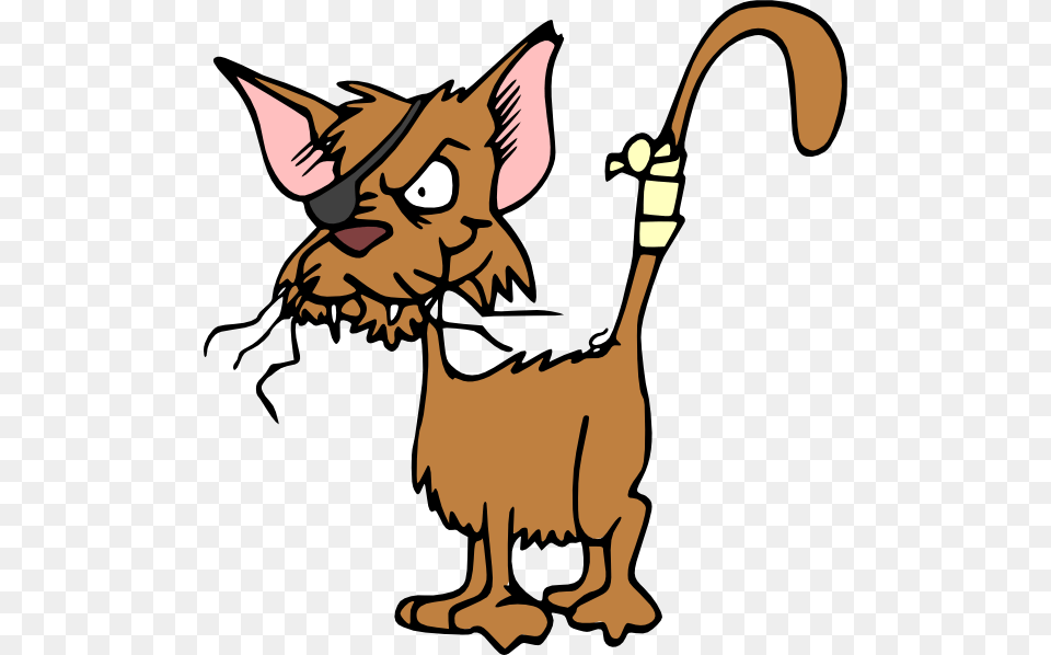 Fighting Cat Clippings Download Vector, Animal, Kangaroo, Mammal Png Image