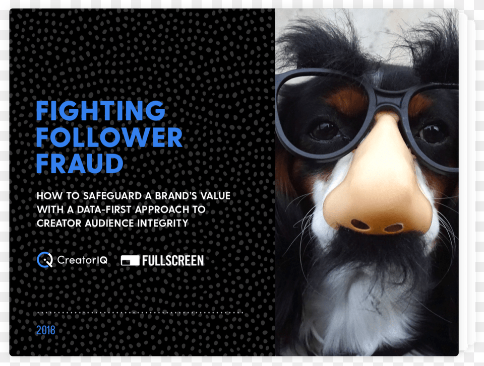 Fighting Follower Fraud With Fullscreen Vicces Llat Nevek, Advertisement, Poster, Accessories, Glasses Free Png