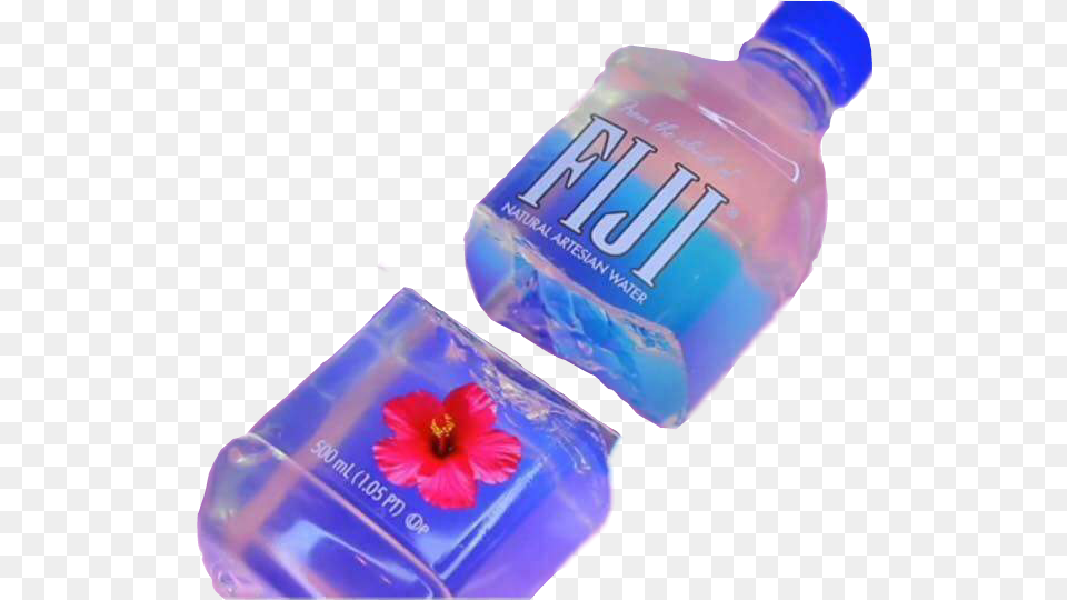 Figiwaterbottle Waterbottle Fiji Water Aesthetic Water Bottle, Water Bottle, Flower, Plant, Food Free Transparent Png