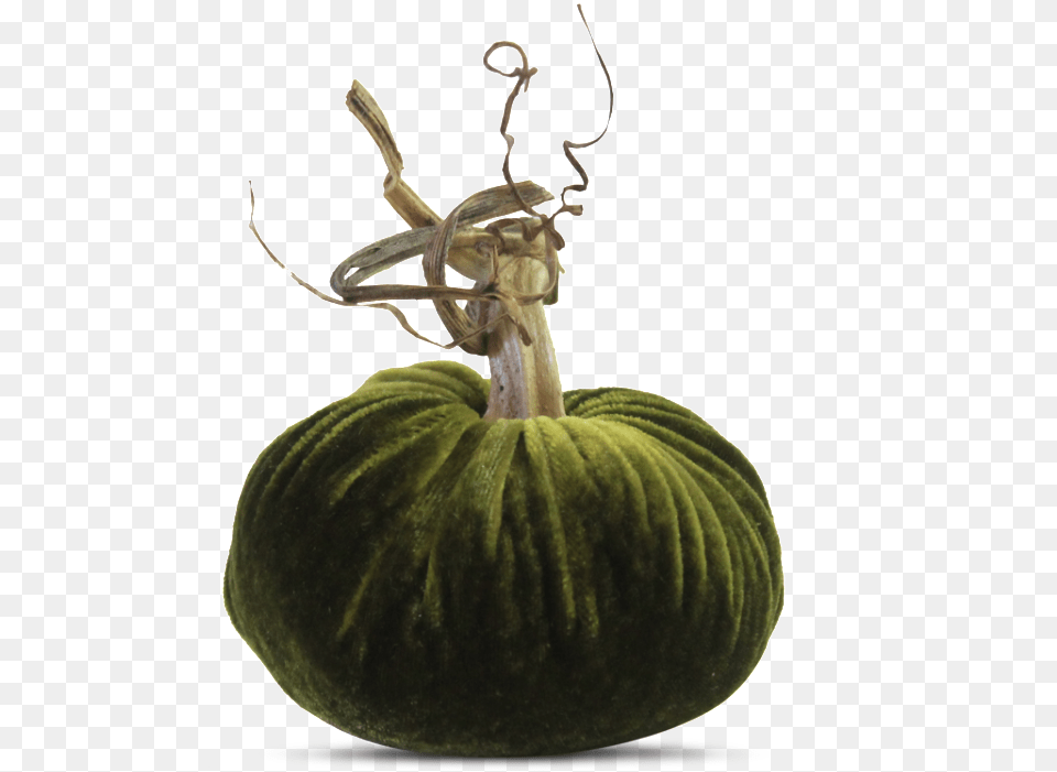 Figleaf Gourd, Chandelier, Lamp, Food, Produce Free Transparent Png