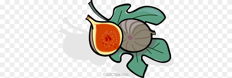 Figs Royalty Vector Clip Art Illustration, Food, Fruit, Plant, Produce Free Transparent Png