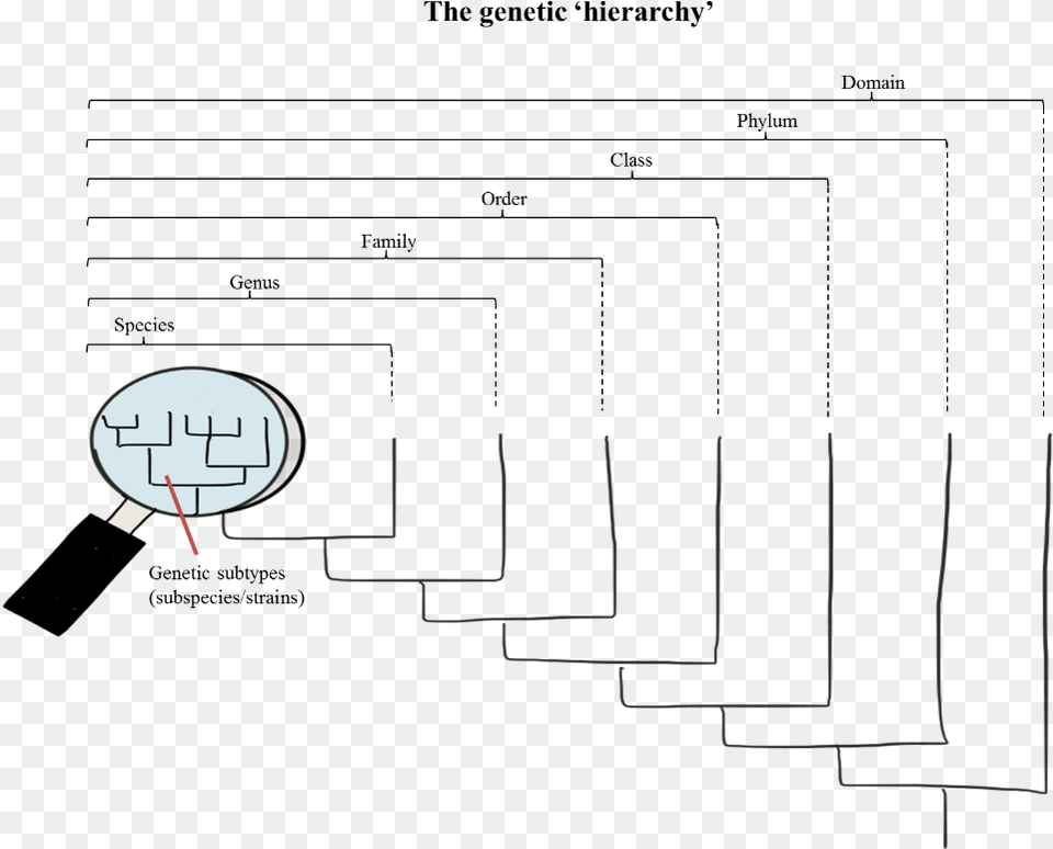 Figur Pathogen Diversity Pathogen Free Transparent Png