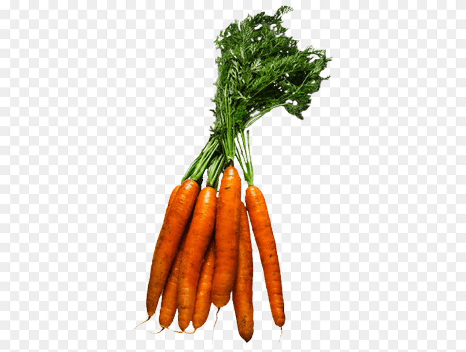 Figuras De Verduras E Legumes, Carrot, Food, Plant, Produce Png Image