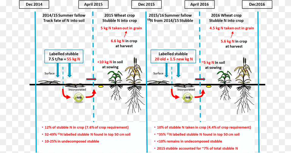 Figure 2 Is An Infographic Depicting The Fate Of The Free Transparent Png