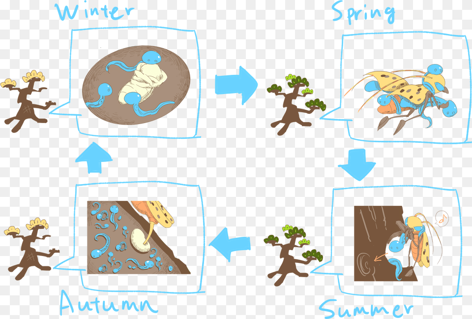 Figure 3 The Life Cycle Of B Cartoon, Baby, Person, Outdoors Png