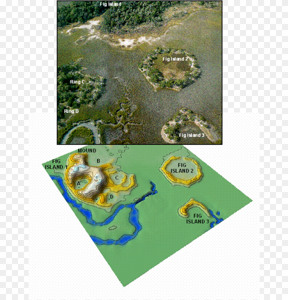 Figure 4 Illustration, Water, Land, Nature, Outdoors Free Png