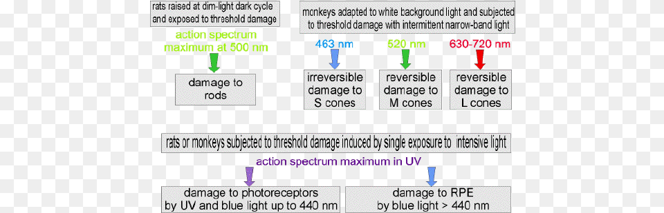 Figure Non Ionizing Radiation Effects On Human Body, Text Free Transparent Png
