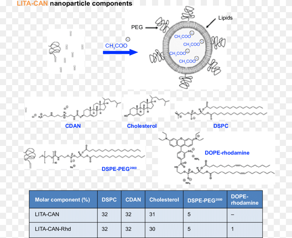 Figure S1 Lita Nanoparticle Design Principles And Percentage Nanoparticle, Text, Page Free Transparent Png