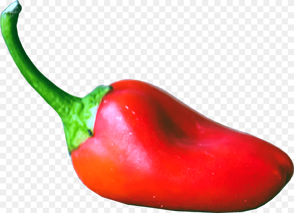Fijian Bongo Chilli Pepper The Hot Sauce Survey Spicy, Bell Pepper, Food, Plant, Produce Png Image