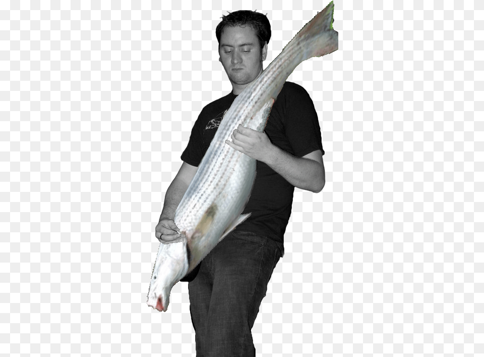File Bass Player Bass Player, Portrait, Photography, Face, Person Png Image