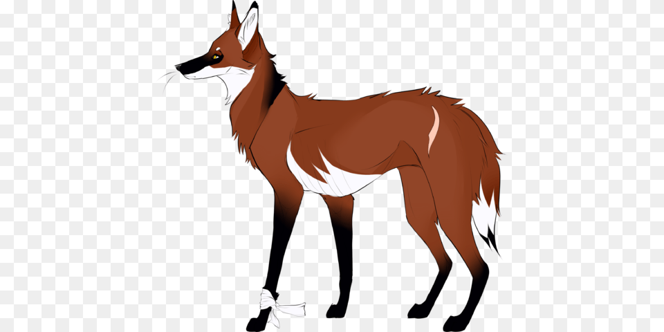 File Beanstalk Red Wolf, Animal, Canine, Mammal, Red Wolf Png Image