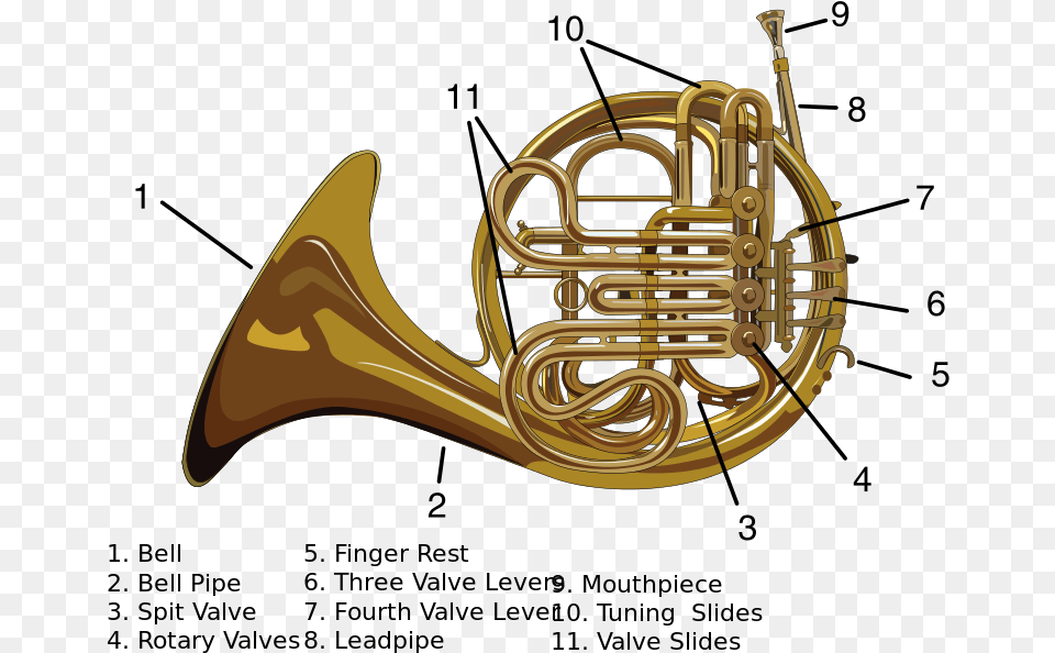 File Carynprice French Horn Svg Alat Musik Modern Parts Of A Double French Horn, Brass Section, Musical Instrument, French Horn, Chandelier Free Transparent Png