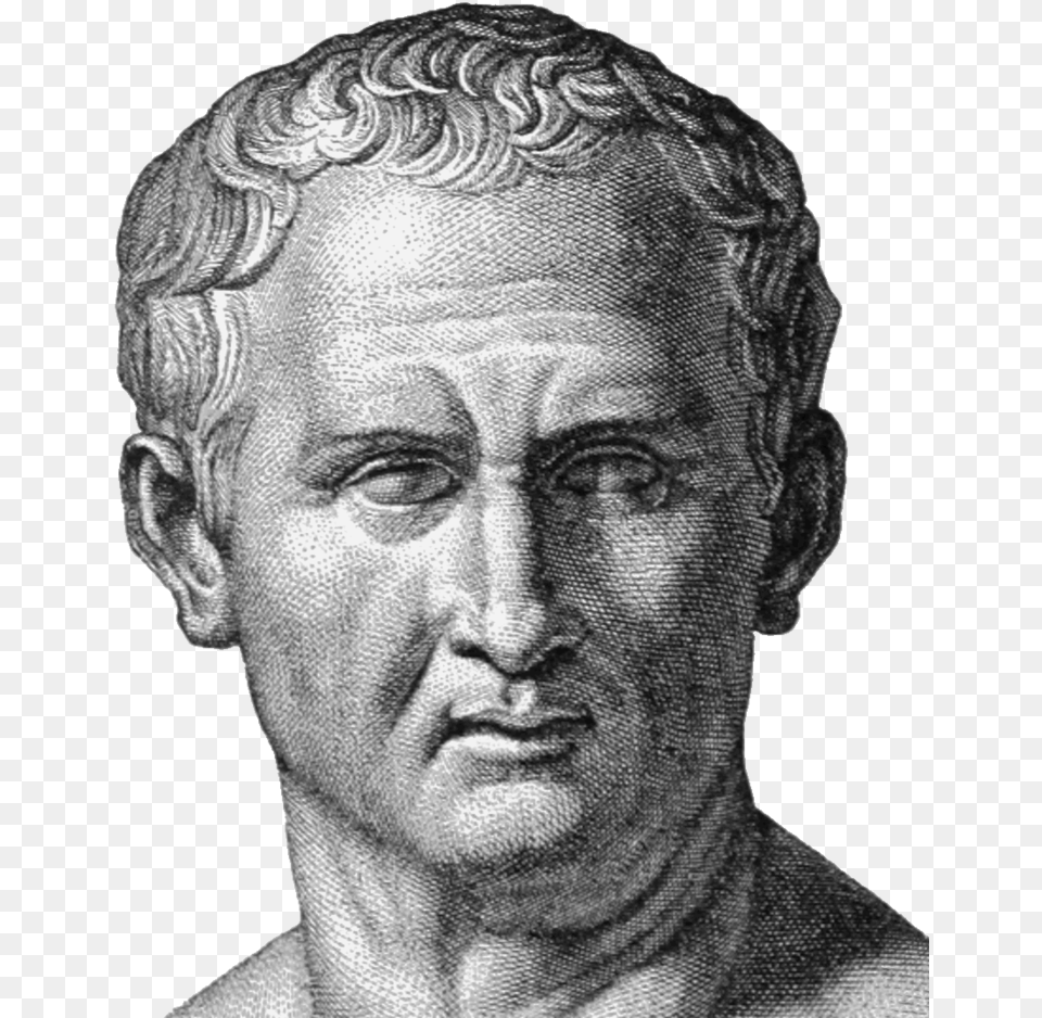 File Cicero Head Marcus Cicero, Adult, Photography, Person, Man Free Png