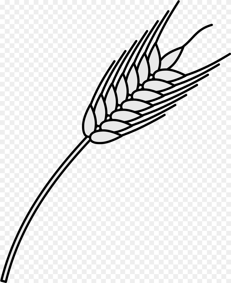 File Coa Illustration Elements Plant Svg Wikimedia Heraldic Wheat, Grass, Reed Free Png Download
