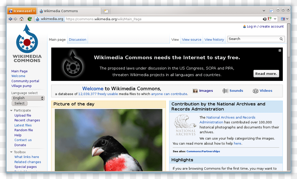 File Commons Wikimedia Org Wikimedia Commons, Animal, Beak, Bird, Finch Free Transparent Png