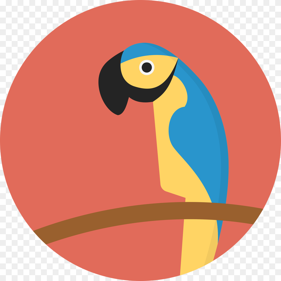 File Creative Tail Animal Parrot In A Circle, Disk Png Image