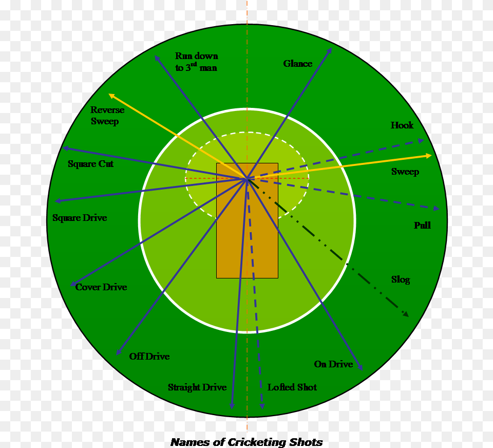 File Cricketshotsmswd Cricket Shot Selection Chart, Disk, Nature, Night, Outdoors Free Png Download