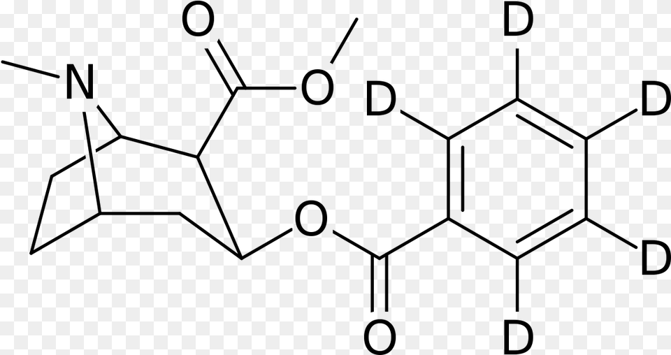 File D5 Phenyl Cocaine Svg Cocaine Vs Cocaine Methiodide, Gray Free Png