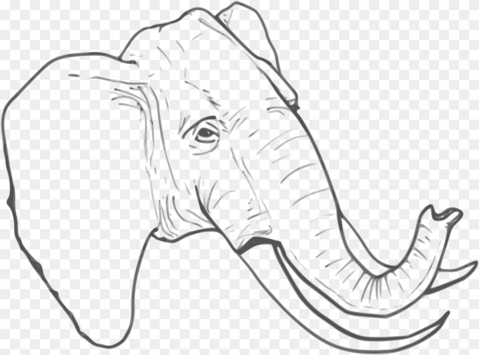 File Elephant Clipart Elephant Sketch Line Drawing, Animal, Mammal, Wildlife Free Transparent Png
