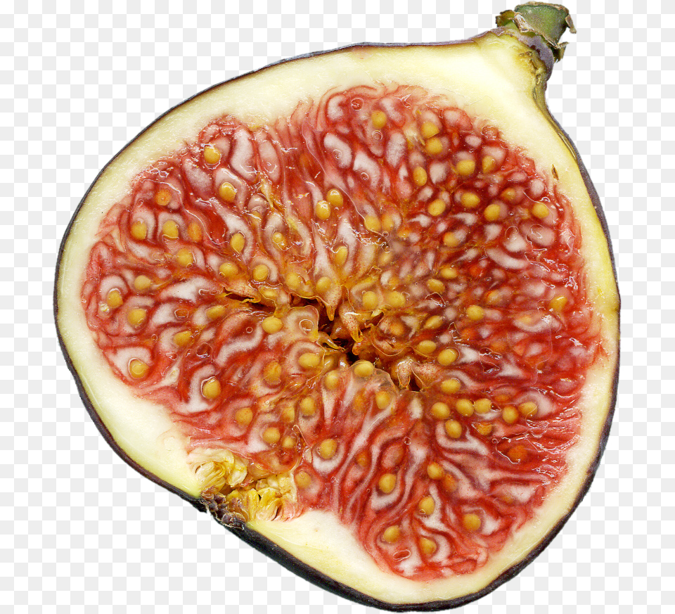 File Feige Schnitt Dead Wasps In Figs, Food, Fruit, Plant, Produce Free Png