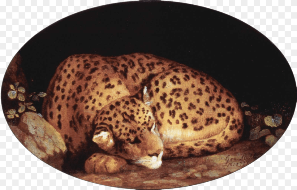 File George Stubbs Leopard George Stubbs Leopard, Animal, Cheetah, Mammal, Wildlife Png Image