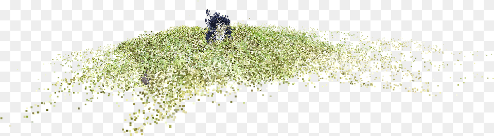 File Grass, Powder, Field Free Transparent Png