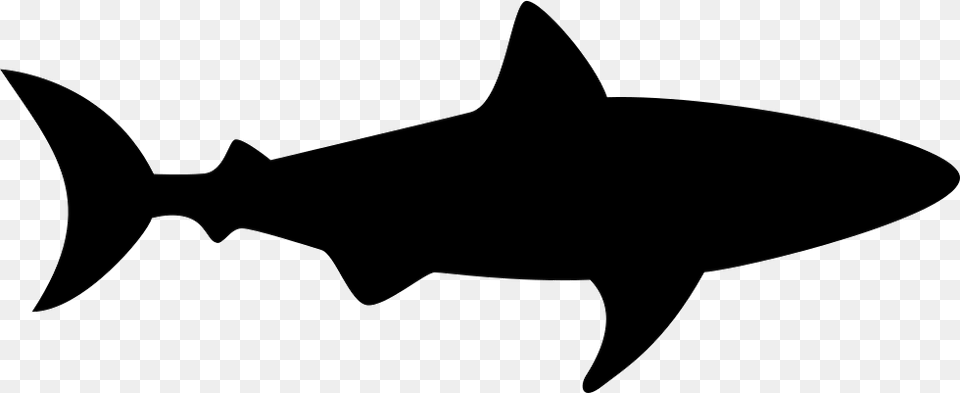 File Great White Shark Silhouette, Animal, Fish, Sea Life Free Png Download
