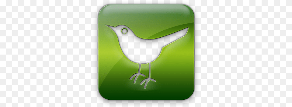 File Green Twiter Icon, Animal, Bird, Blackbird Png